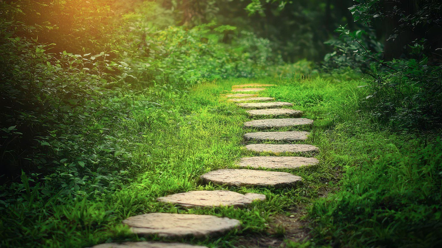Serene pathway through lush garden for quiet meditation retreat